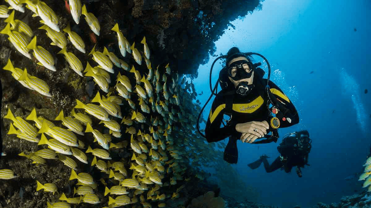 Diving in Sri Lanka