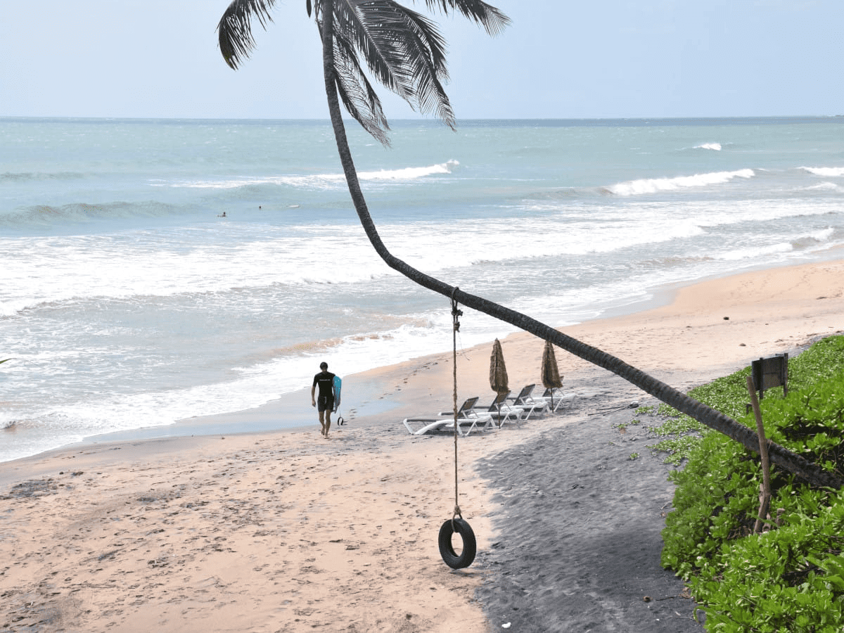 Surf Lesson
